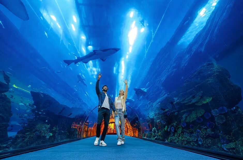 Dubai Aquarium underwater tunnel