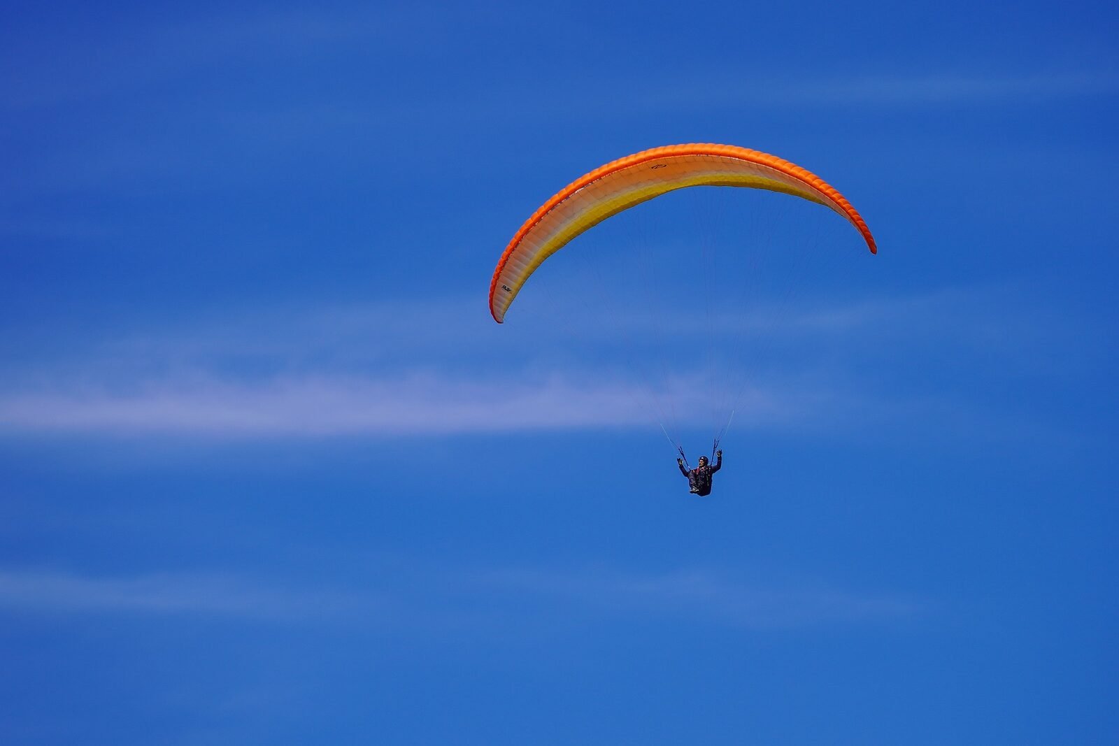Aerial adventure activity