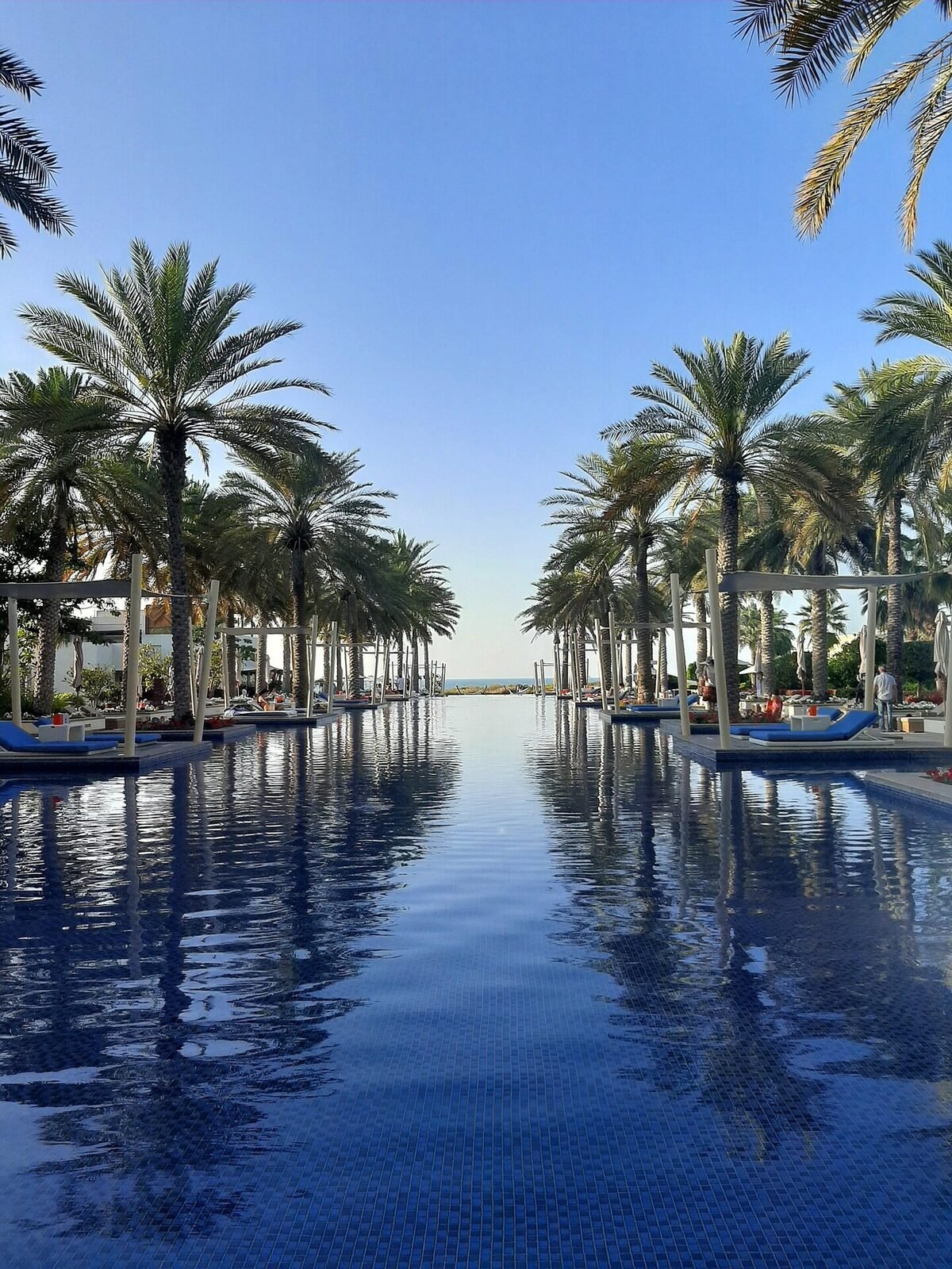 Dubai beach resort infinity pool lined with palm trees