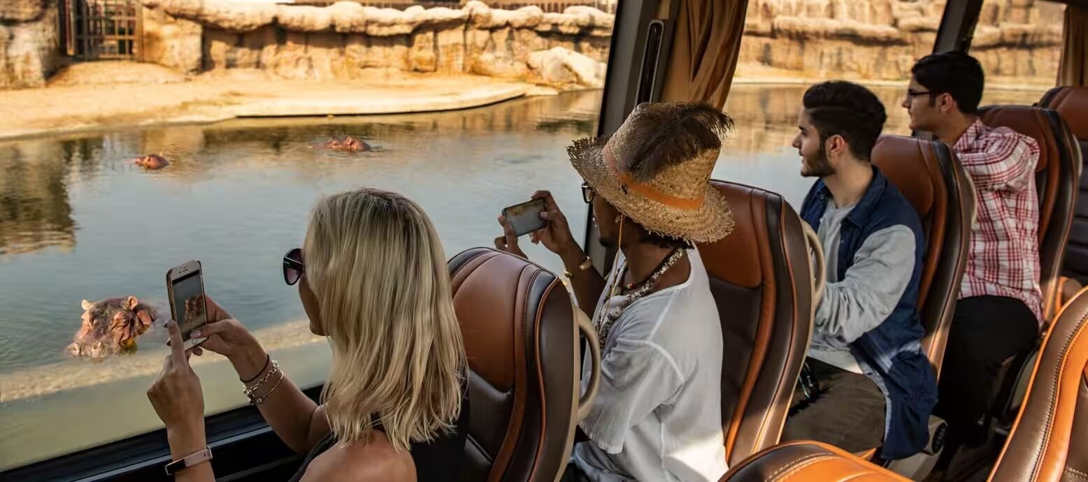 Dubai Safari Park wildlife sightseeing experience