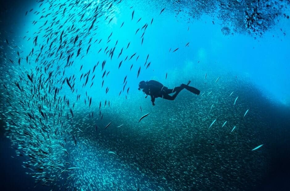 Scuba diving experience